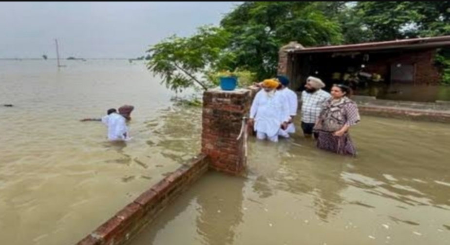 Punjab Flood Rehabilitation Fund